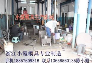 塑料儿童电瓶车模具 儿童电瓶车塑胶模具 浙江模具城电话供应商 台州市黄岩小霞模具厂