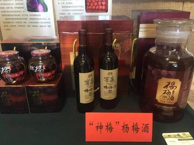 台州市特色农产品暨重点农业招商项目推介会在南京召开