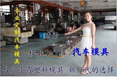 小霞捷豹S-Type汽车模具制造 定做汽配中控台模具加工工厂 – 产品展示 - 