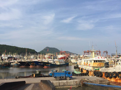 “东海鱼仓”还有多少鱼?-