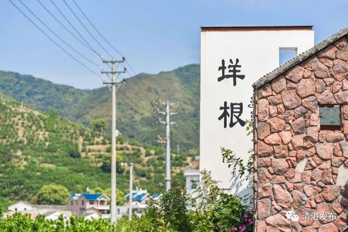 玉环有个垟根村